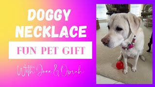 PET JEWELRY NECKLACE FOR MY SERVICE DOG [upl. by Chandra403]