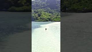 Snake Island Brazil  Ilha da Queimada Grande [upl. by Lipkin]