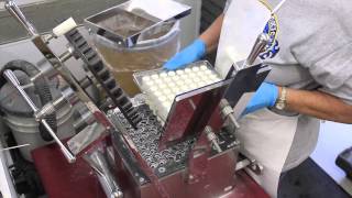 How Capsules are Made [upl. by Theola]