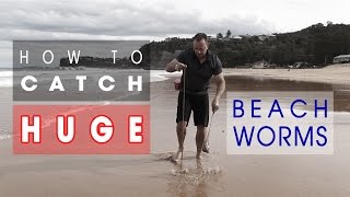 How I Catch HUGE Beach Worms Learn KEY SKILLS [upl. by Schnell25]