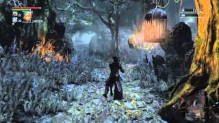 Bloodborne  Bloodstone chunk in Forbidden woods [upl. by Notnilk38]