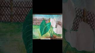 Drawing tutorial beginners drawingguide drawingtutorial beginnersdrawing stepbystep shortsvideo [upl. by Ahsratan246]