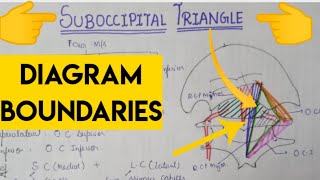 Suboccipital Triangle [upl. by Anitsirhk]