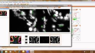 TissueQuest Cell amp Tissue Analysis Software [upl. by Carly]