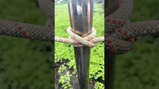 Essential Knot Fast Simple Reliable 🪢 knottutorial campingknots knot dailylifehacks [upl. by Ulland]