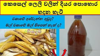 කෙ‍සෙල් ‍ලෙලි දියර ‍පො‍හොර  kesel leli diyara pohora  Banana peel liquid fertilizer  agriculture [upl. by Corso763]