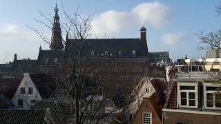 Church ⛪ bells ringing in Leiden Netherlands leiden churchbells netherlands [upl. by Adigun]