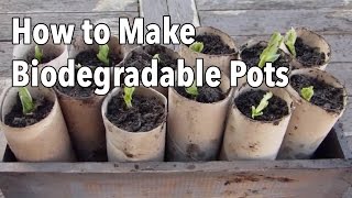 How to Make Biodegradable Plant Pots  Homemade Seed Starting Pots [upl. by Onitsoga]