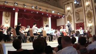 Haydn Cello Concerto in C Major Moderato [upl. by Llevra]