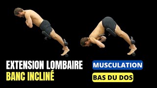 BAS du DOS Exercice musculation  Extension lombaire banc incliné   Musculation DOS [upl. by Aitnom]