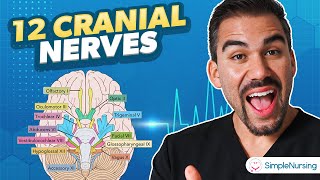 The 12 Cranial Nerves  Head amp Neck Health Assessment for Nurses [upl. by Ayojal832]