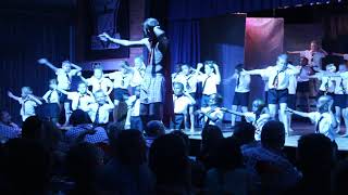 Laerskool Tzaneen Revue [upl. by Akaenahs]