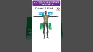 Anatomical Directional Term Part 4 ll Proximal amp Distal ll ytshorts ll PATHOGENESIS [upl. by Renfred429]