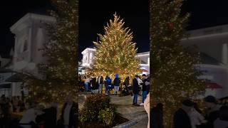 McArthurGlen Designer Outlet Cannock Christmas Lights switch on 2024 [upl. by Yggep]