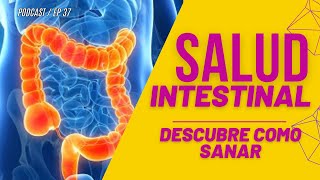 Cómo Mejorar tu Salud Intestinal Consejos y Trucos Esenciales 🌿 [upl. by Jacquetta]