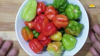 Recette facile de piment [upl. by Sola706]