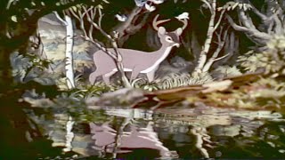 Snow White And The Seven Dwarfs Deer 1937 VHS Capture [upl. by Ahsiugal]