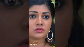 ROJA Serial Shorts Ep 124  3  Priyanka Sibbu Suryan  Saregama TV Shows Tamil  shorts ytshorts [upl. by Rovner]