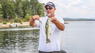 Scott Suggs Breaks Down Lake Ouachita [upl. by Yentuoc]