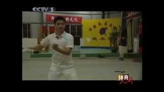 Yongchun Baihequan  CCTV quotTiyu Renjianquot 2010 [upl. by Orose]