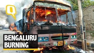 The Quint Cauvery Water Row Bengaluru Simmers as Agitators Take to Violence [upl. by Atirys]