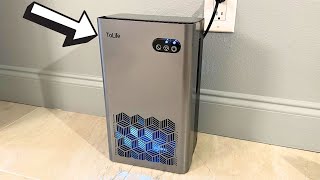 ToLife Dehumidifier Review Quiet 95 OZ Tank amp Auto Shut Off [upl. by Aminta]