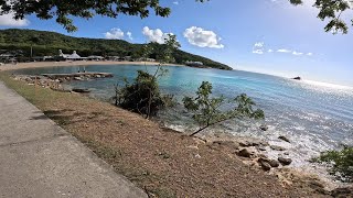 Hawksbill by rex resort Antigua Snorkeling and swimming [upl. by Larred]