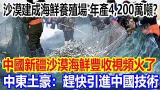 沙漠建成海鮮養殖場，年產4200萬噸？中國新疆沙漠海鮮豐收視頻火爆全網，中東土豪：趕快引進中國技術 [upl. by Oribelle715]