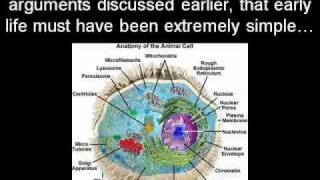 Abiogenesis As Postulated by Dr Szostak Kieran Griffith [upl. by Nodaj735]