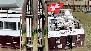 Flusskreuzfahrer EXCELLENCE PEARL river cruise ship Emden MMSI 269057195 HE7195 [upl. by Leuamme]