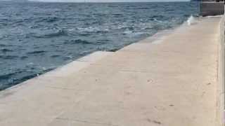 Sea Organ Zadar Croatia [upl. by Zetnod891]