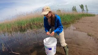 Herpetologist Jessica Ford Get to Know a Scientist [upl. by Mattland898]