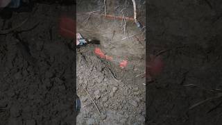 I found a real box treasur ehunt metaldetecting treasurehunt [upl. by Brosine]