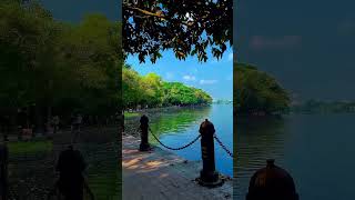 🏝️Rabindra Sarobar Kolkata West Bengal 🏝️ lake viralshorts autumncolors travel [upl. by Ardnohsed562]