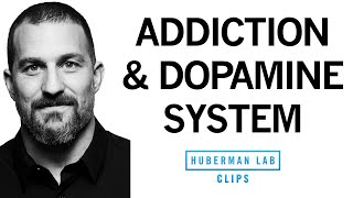 Addiction Explained Rises amp Falls in Dopamine  Dr Andrew Huberman [upl. by Lund]