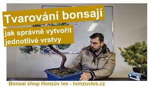 Tvarování bonsají  jak správně vytvořit jednotlivé vrstvy [upl. by Howland272]