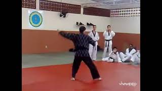 TAEKWONDO  Mestre Renato dos Santos taekwondo tkd shorts viral viralvideo lutas martialarts [upl. by Nicram]