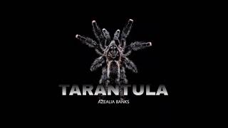 Azealia Banks  Tarantula Audio [upl. by Ladnor]