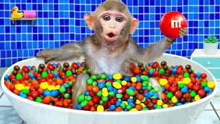 KiKi Monkey bath in the Rainbow BathTub full of MampM candy and play with ducklings  KUDO ANIMAL KIKI [upl. by Stringer]