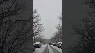 Winter storm day 3 snowstorm denver colorfulcolorado viralvideo virslshorts fyp weatherupdat [upl. by Yesac]