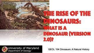 Lecture 16 The Rise of the Dinosaurs part 1 [upl. by Airotkiv]