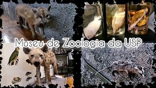 passeiogratuíto museu de zoologia da usp dica diadascrianças [upl. by Artenehs365]