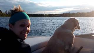 Labrador Dog Whimpering Because Girl is in the Lake on Kneeboard [upl. by Nahtnoj]