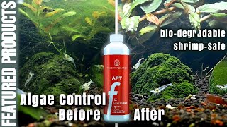 Algae control using APT Fix How to reduce algae growth [upl. by Ania]