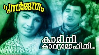 Kaamini Kavya  Malayalam Old Classic Movie  Punarjanmam  Movie Song [upl. by Circosta218]