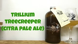 Trillium Treecreeper Citra Pale Ale Review  Ep 643 [upl. by Roti]