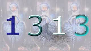 1313 angel number  What Does It Mean [upl. by Ethelyn]