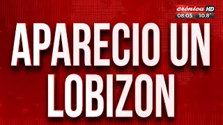 Aparición de un quotLobizónquot causa terror en Corrientes [upl. by Plotkin]