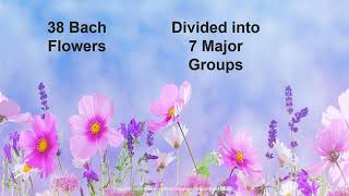 Bach Flower Remedies  Major 7 Groups Part I [upl. by Nohs]