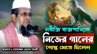 নবীজির সাথে পাখির চমৎকার একটি ঘটনা। তোফাজ্জল হোসেন ভৈরবী  TofazzalHossain  Bangla Waz [upl. by Ahsiuqat]